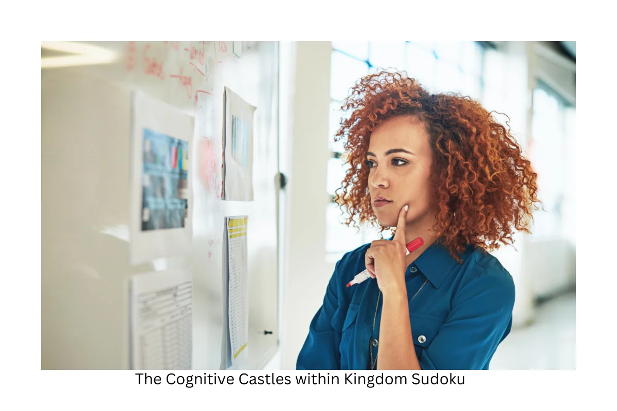The Cognitive Castles within Kingdom Sudoku